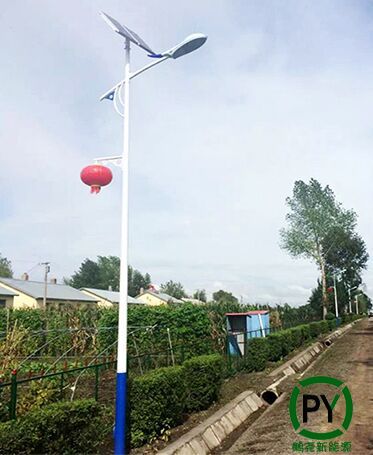 內蒙農村6米太陽能路燈